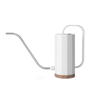 Watering Can for Indoor House Plants Long Spout Brushed Stainless Steel Watering Pot