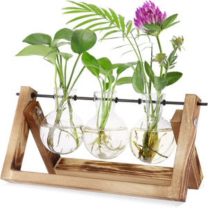 Plant Terrarium Wooden Stand, Desktop Glass Planter Bulb Vase with Retro Solid Wooden Stand