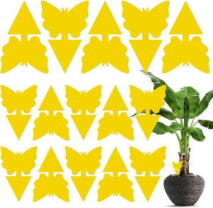 60 PCS Sticky Traps, Fruit Fly and Gnat Sticky Bug Trap, Yellow Dual-Sided Sticky Insect Catcher for Indoor and Outdoor Use
