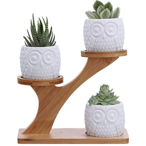 3pcs Ceramic Flower Pots Planters with Bamboo Shelf Rack Succulent Plant Flower Pot Holder Planter Home Decor